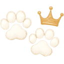 Le Royaume du Coton logo