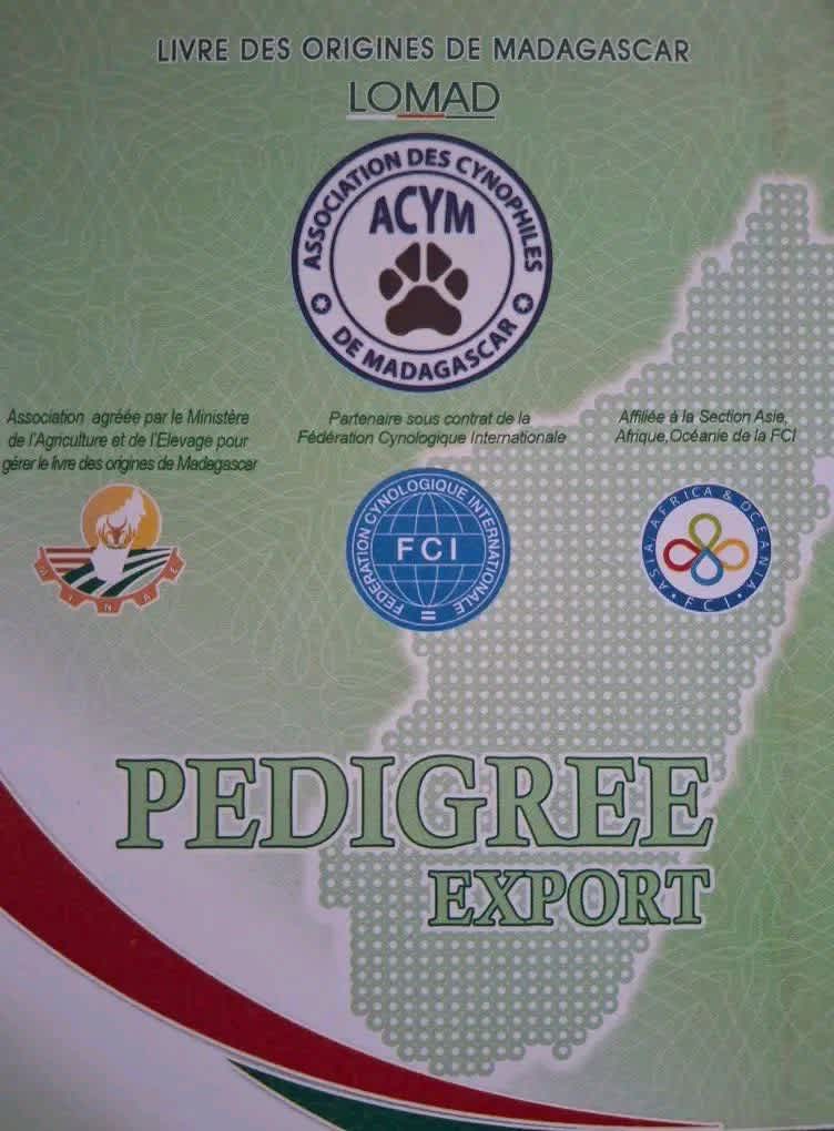 Qu’est-ce que le LOMAD ? cover image